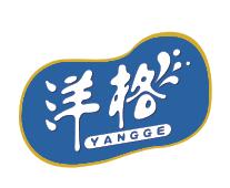 洋格      YANGGE
